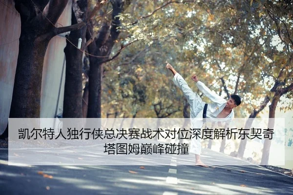kai-er-te-ren-du-xing-xia-zong-jue-sai-zhan-shu-dui-wei-shen-du-jie-xi-dong-qi-qi-ta-tu-mu-dian-feng-peng-zhuang-2-890.jpg